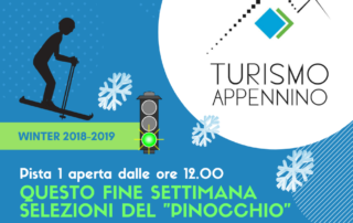 aggiornamento impianti 21 02 2020